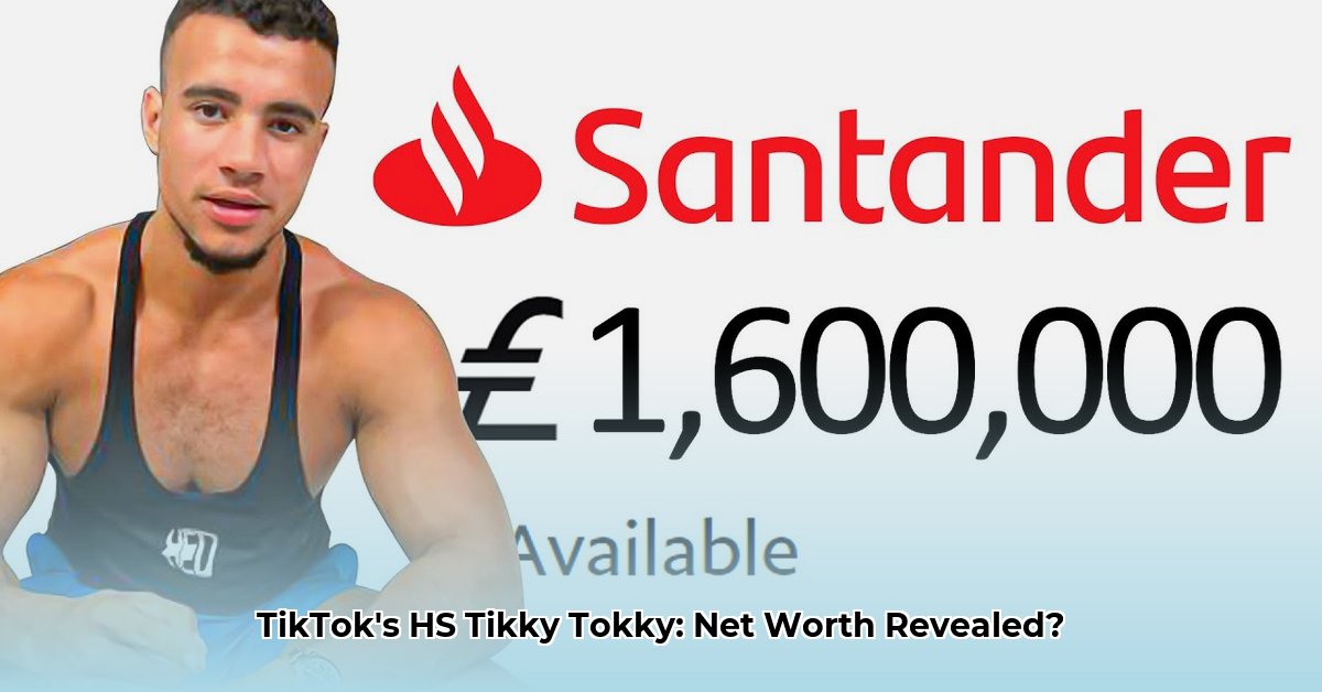 hs-tikky-tokky-net-worth